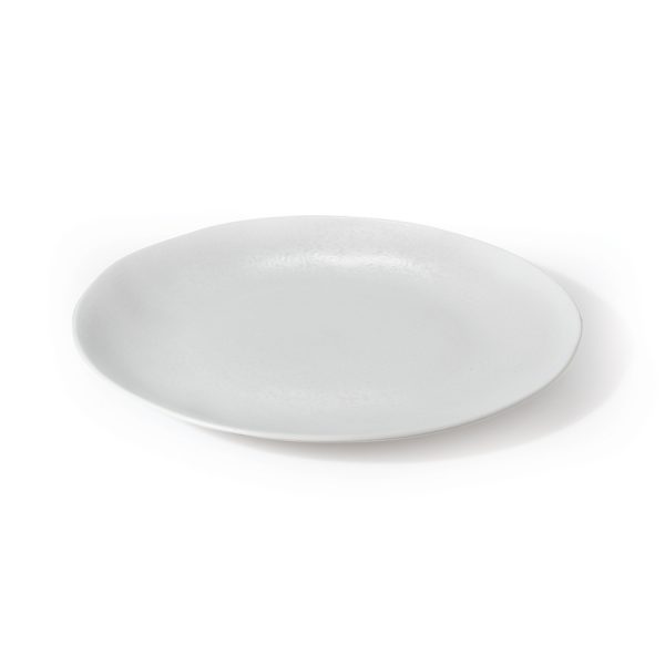 White mat spotted dinner plate